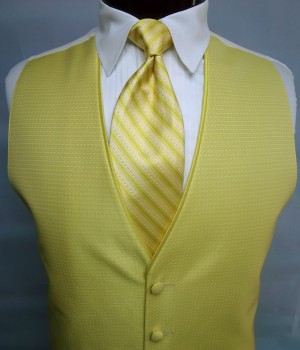 Citron Sterling Vest by Jean Yves