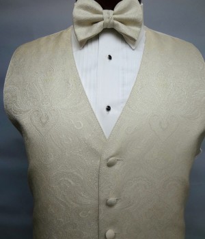 Ivory Paisley Vest by Brandon Michael