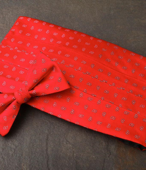 Red Pattern Cummerbund & Bow Tie