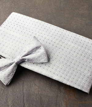 Silver Dot Pattern Cummerbund & Bow Tie Set